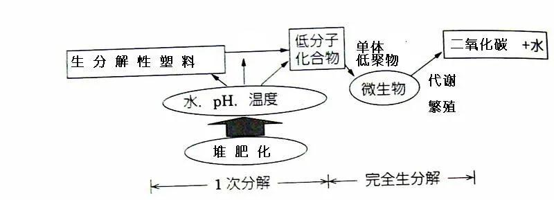 可生物降解環(huán)保塑料可以回收再利用嗎？(圖3)